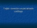 Cartilago