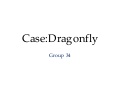 Case Dragonfly