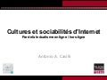 Cultures et sociabilité d'Internet