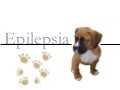 Caso Clínico Veterinário: Epilepsia Canina