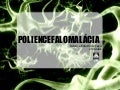 Caso Clínico Veterinário: Poliencefalomalácia em Bovino