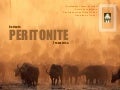Caso Clínico Veterinário: Reticuloperitonite