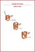 UEDA - Catalogo