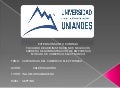 Categorias del comercio electronico