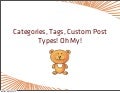Categories, Tags, Custom Post Types! Oh My!