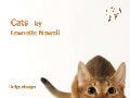 Cats  by Lennette Newell