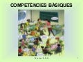 Competències bàsiques