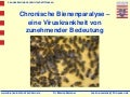 Cbpv zuchtseminar1