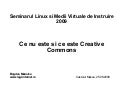Prezentare Creative Commons - in romana
