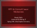 HPV and Cervical Cancer: Mechanisms