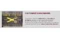CCA Awards - Customization nominees