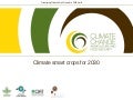 A vision for climate smart crops in 2030: Potatoes and their wild relatives
