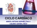 Ciclo cardiaco