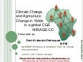 Climate Change and Agriculture: Change in Yields in a global CGE MIRAGE-CC