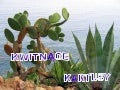 Cactos1