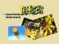 Las abejas