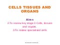CELL-TISSUES-ORGANS AT A GLANCE