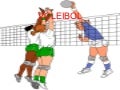 VOLEI