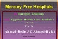 Mercury Free Hospitals