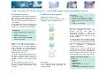 Cell free GPCR ligand screening assay tlb