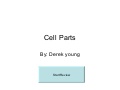 cell parts
