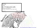IB Biology Core 2.2: Prokaryotic Cells 