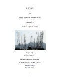 Cell Tower Radiation Report 2010 - DOT, India