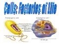 Cellular Structures and Their Functions