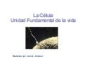 Celula 3