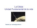 La Celula (1)