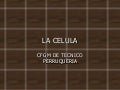 Celula eucariota y procariota