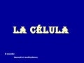 Celula Juana Segunda Especialidad