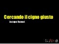 Cercando il cigno giusto - AgileDay 2012