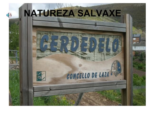 Cerdedelo ave