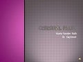 Cerebral palsy presentation for edu 290
