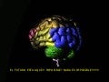 El cerebro como matriz de aprendizaje