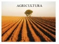 2-AGRICULTURA