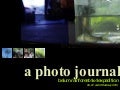 Belum Rainforest Expedition