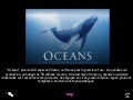 C:\Fakepath\Oceans  Co Cachera