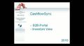 CashflowSync - our B2B-Portal-Solution - Investorsview - German