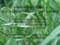 Maple Apple Gumbo: Farm to School Collaboration in VT