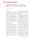 CGRP21:  Leadership Challenges at Hewlett-Packard: Through the Looking Glass