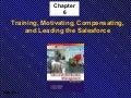 Ch6: Training, Motivating, Compensating, and Leading the Salesforce