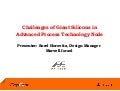 TRACK D: Challenges of Giant Silicons in  Advanced Process Technology Node/ Sorel Horovitz