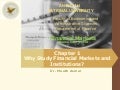 FM Chapter 1