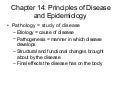 Chapter 14