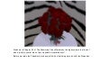Chapter 5.3: Magic and Mayhem