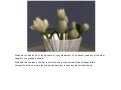 Chapter 5.4: Attack of the Plot Bunnies