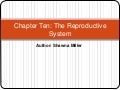 Chapter Diez.Pptx The Reproductive System