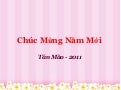 Chúc Mừng Năm Mới - Tân Mão   2011
